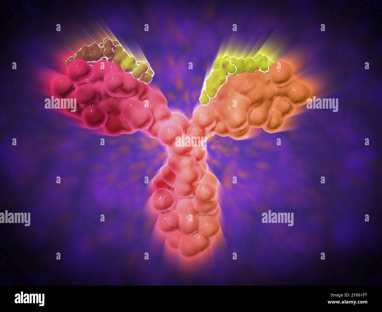 Human microbiology antibody hi-res stock photography and images - Alamy