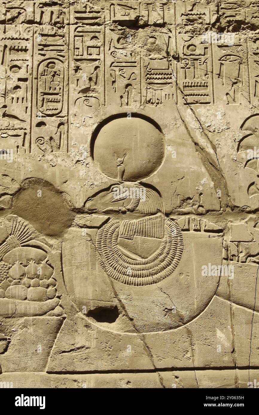 Ancient egypt hieroglyphs carved on the stone in the Karnak Temple ...