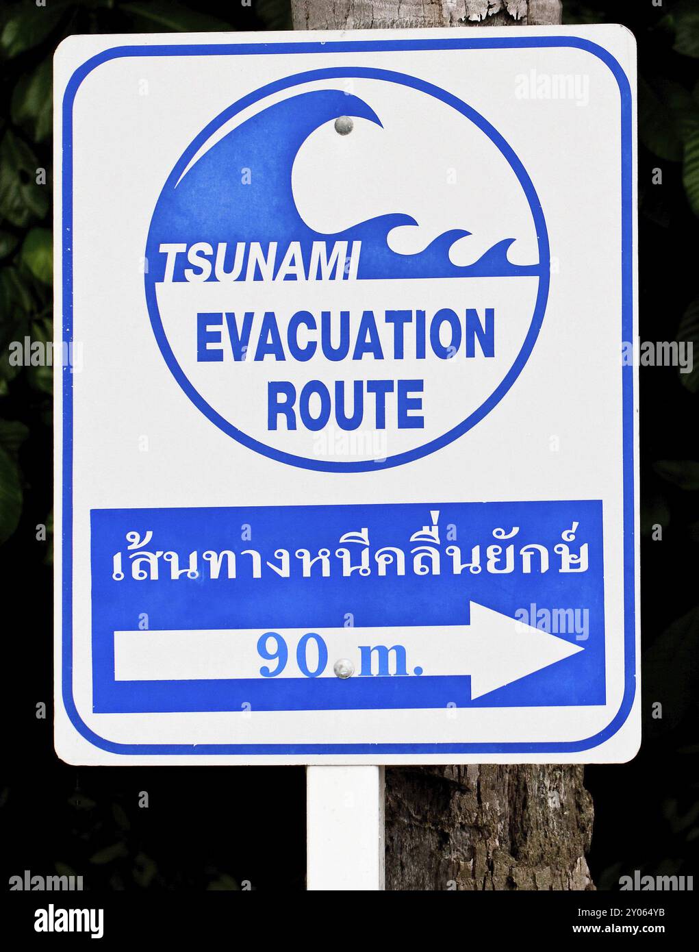 Tsunami warning today in thailand