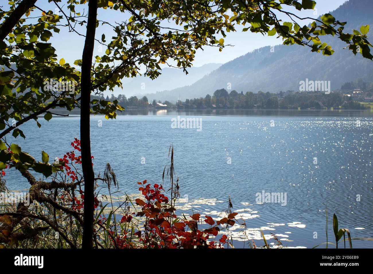 Alpsee in Allgaeu, Germany - The sea Alpsee in Allgaeu/Germany Stock ...