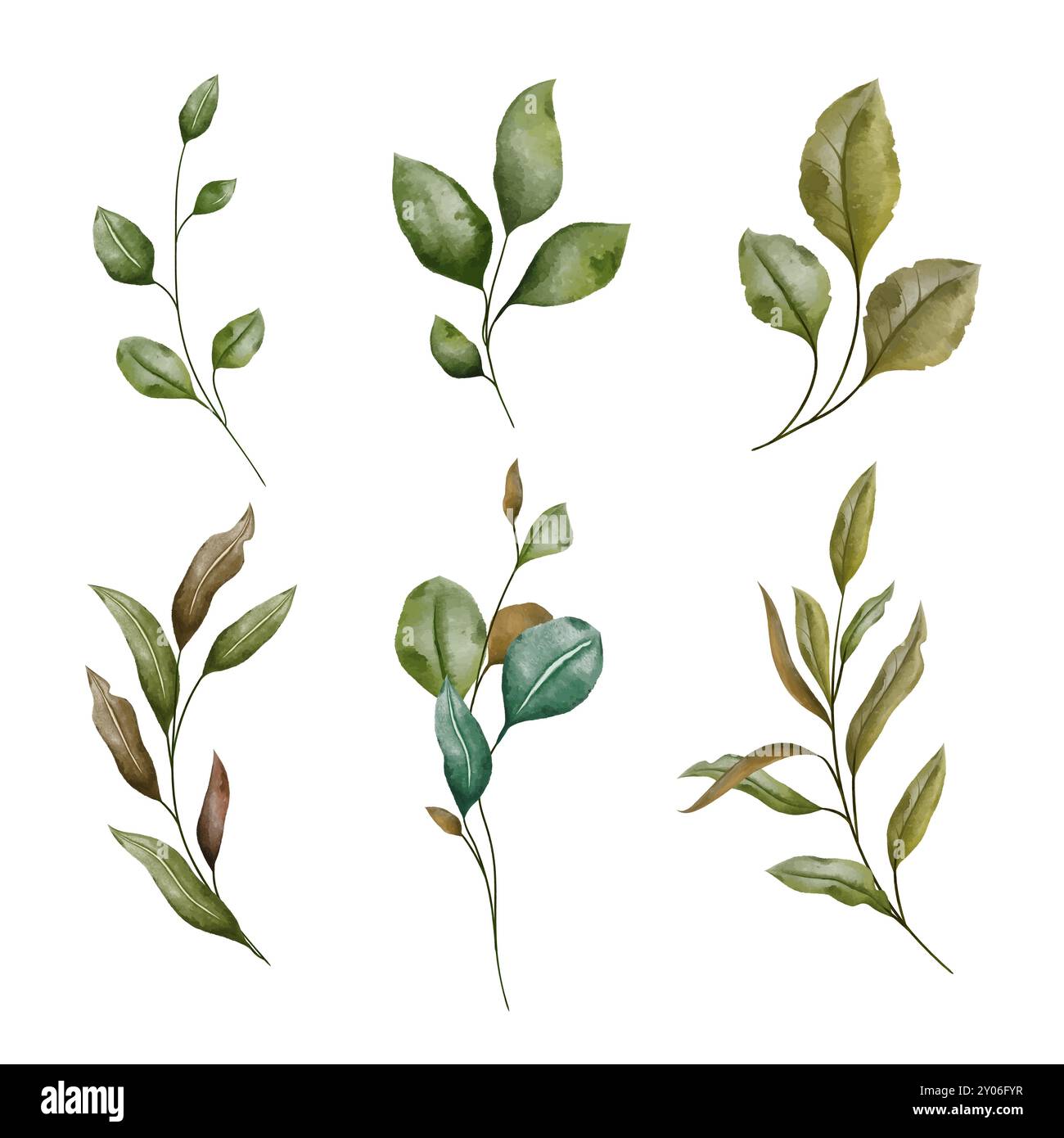 Watercolor illustration painting leaf Stock Vector Images - Alamy