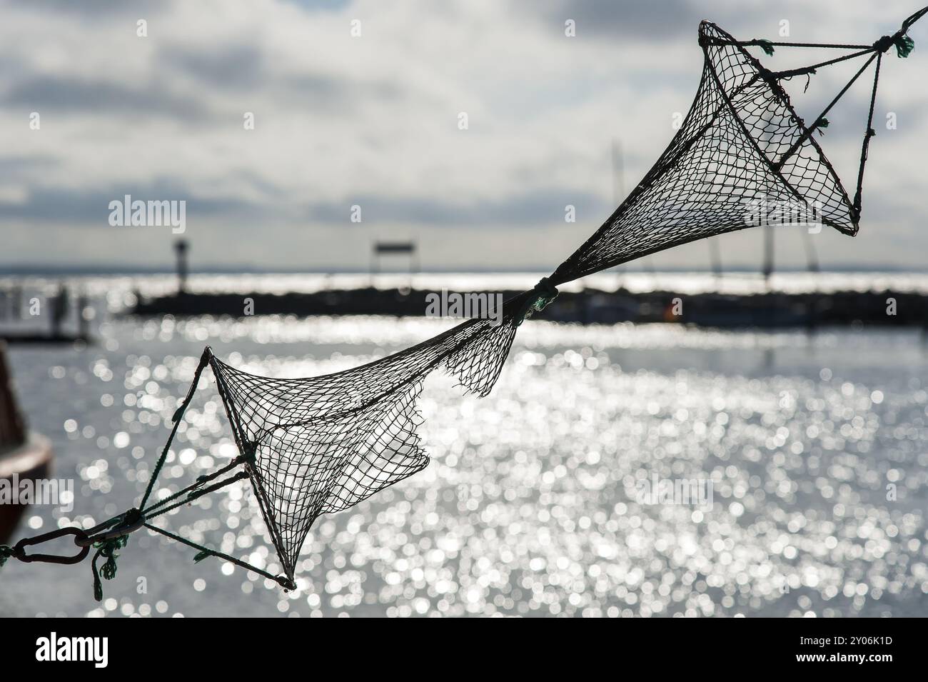 empty nets fish tracker Measure The Fly Shop 1/8" Clear Netting - Bulk