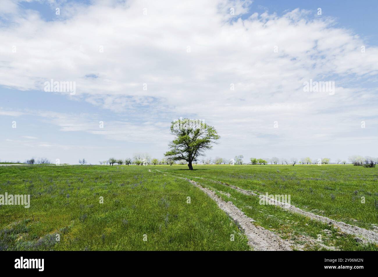 Summer landscape with green grass, road and clouds Stock Photo - Alamy