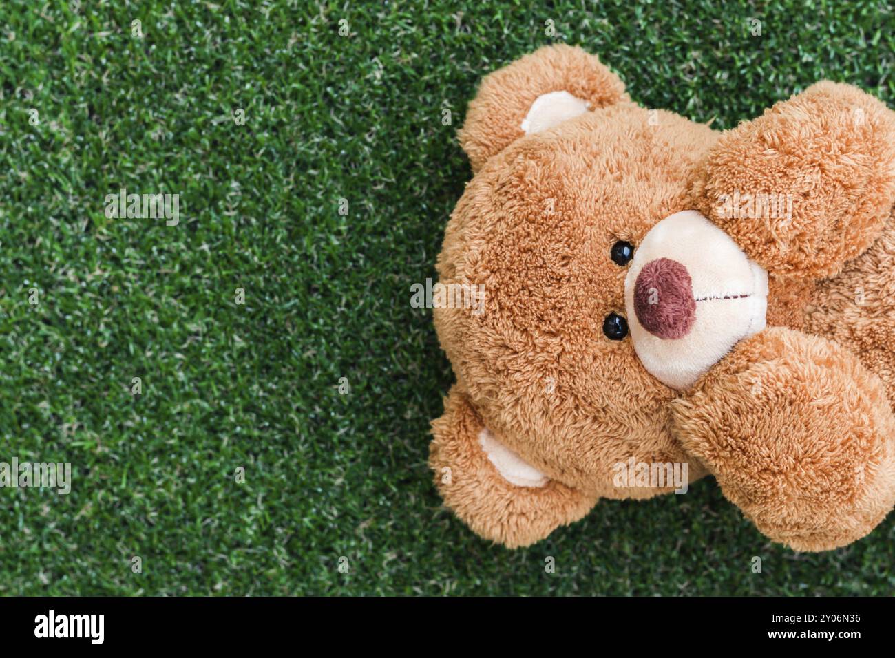 Cute teddy bear on green grass background Stock Photo - Alamy