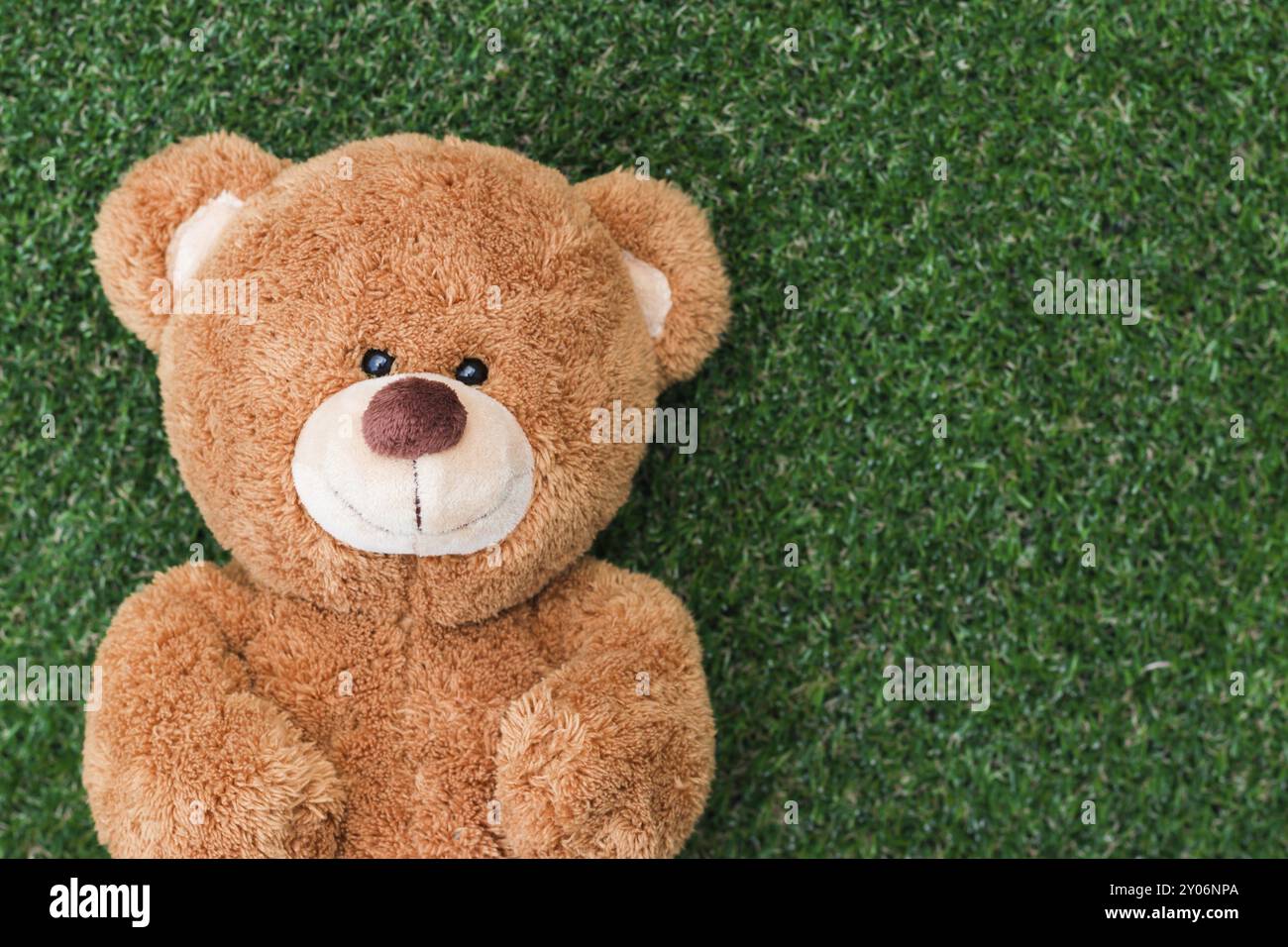 Cute teddy bear on green grass background Stock Photo - Alamy
