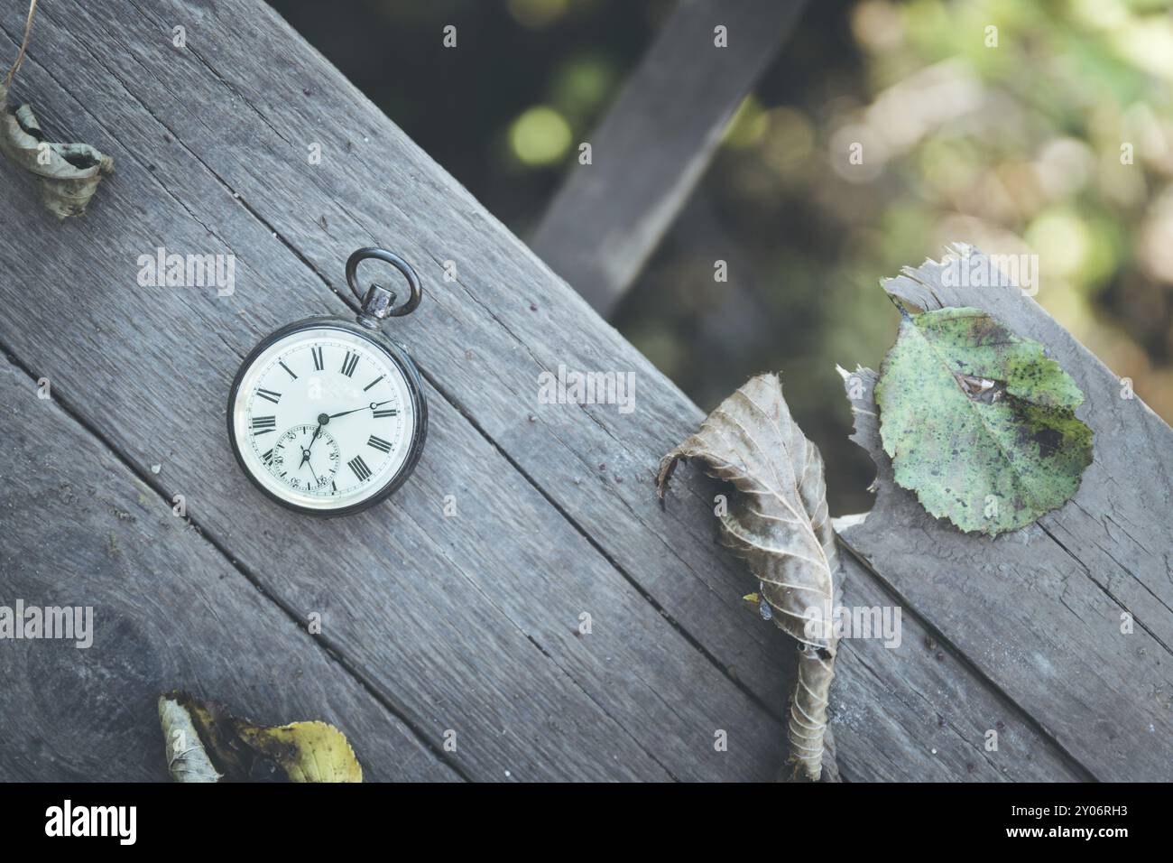 Vintage pocket watch on a wood board, colourful leaves, autumn Stock Photo