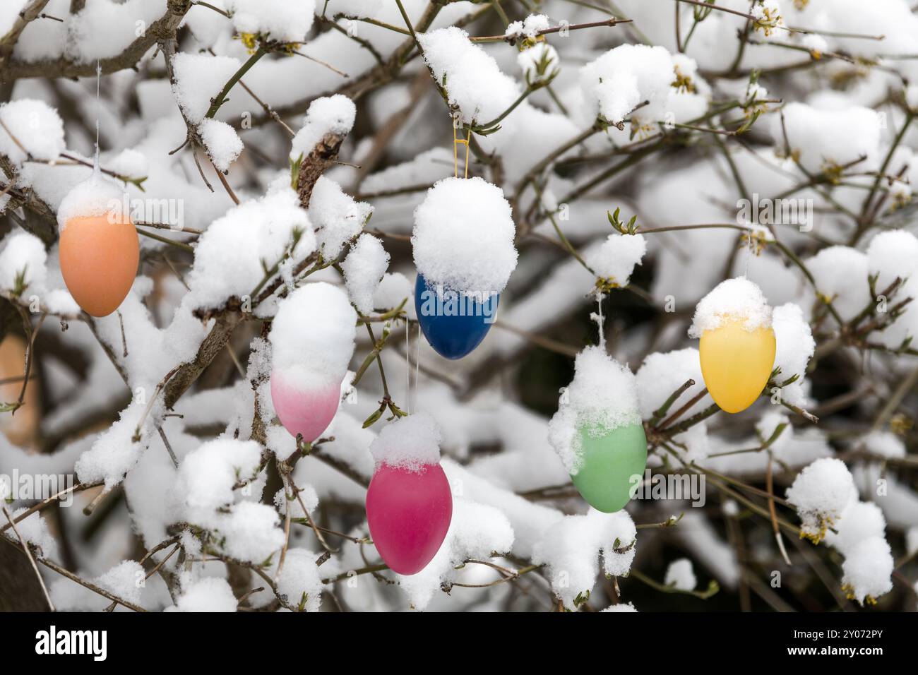 Easter eggs on a snowy tree Stock Photo