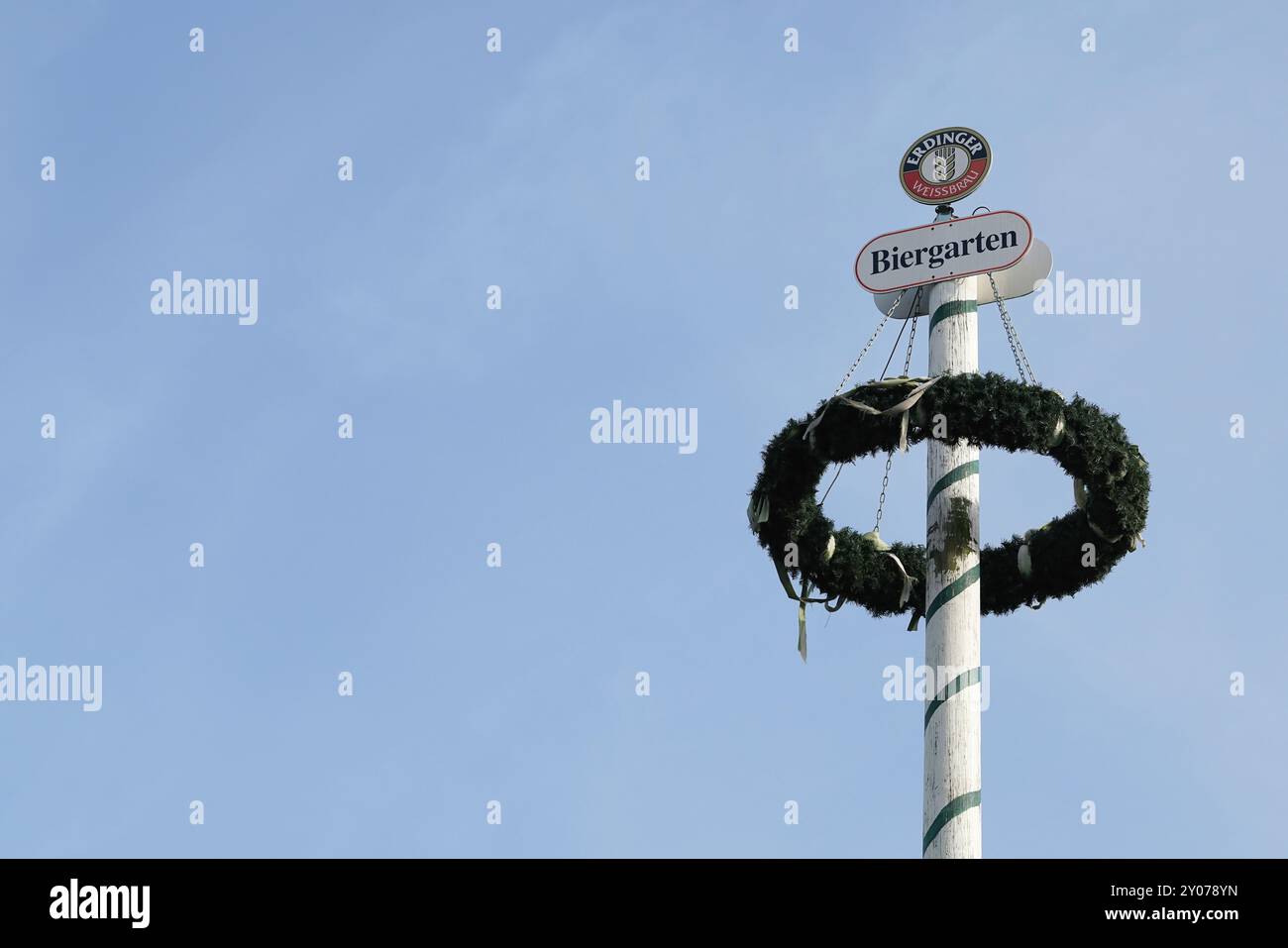 Maypole of the Erdinger brewery at a beer garden on the banks of the Elbe in Magdeburg Stock Photo