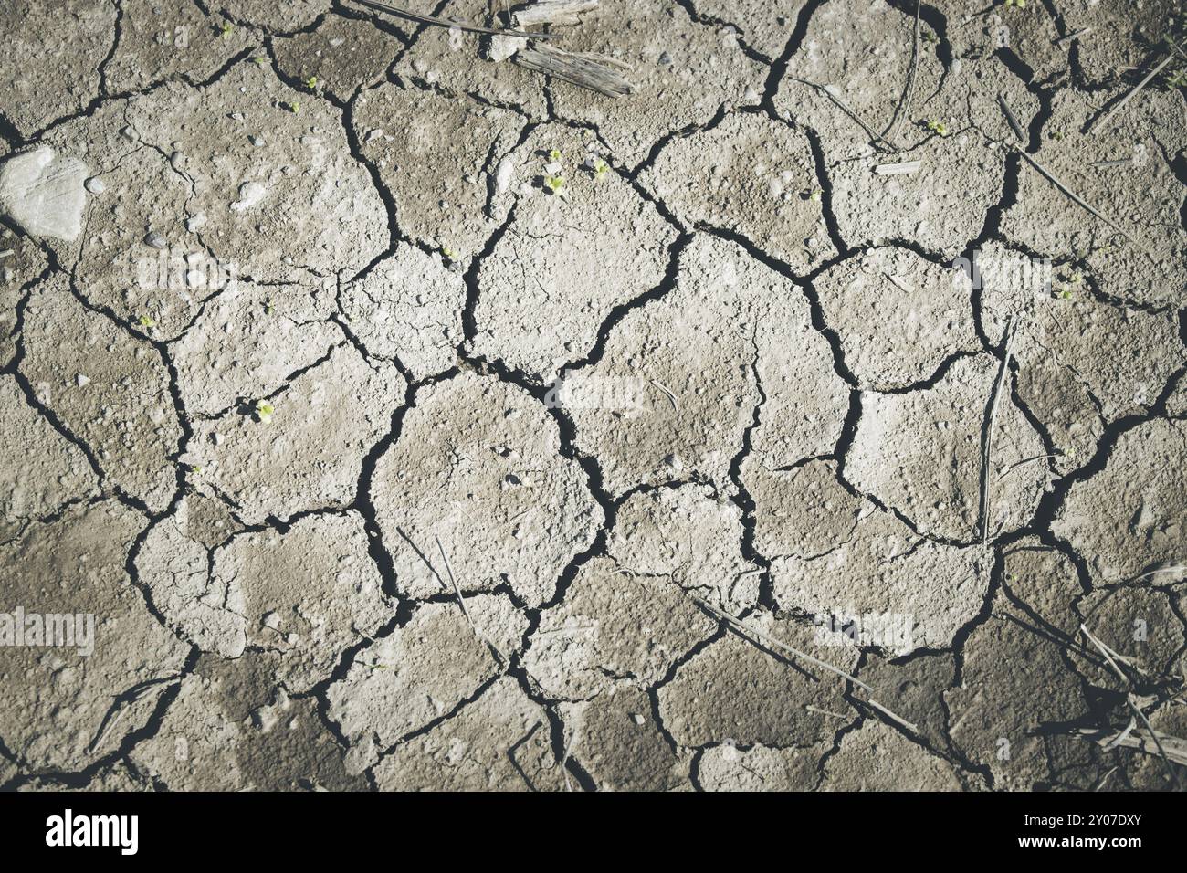Dry cracked earth, global warming Stock Photo - Alamy