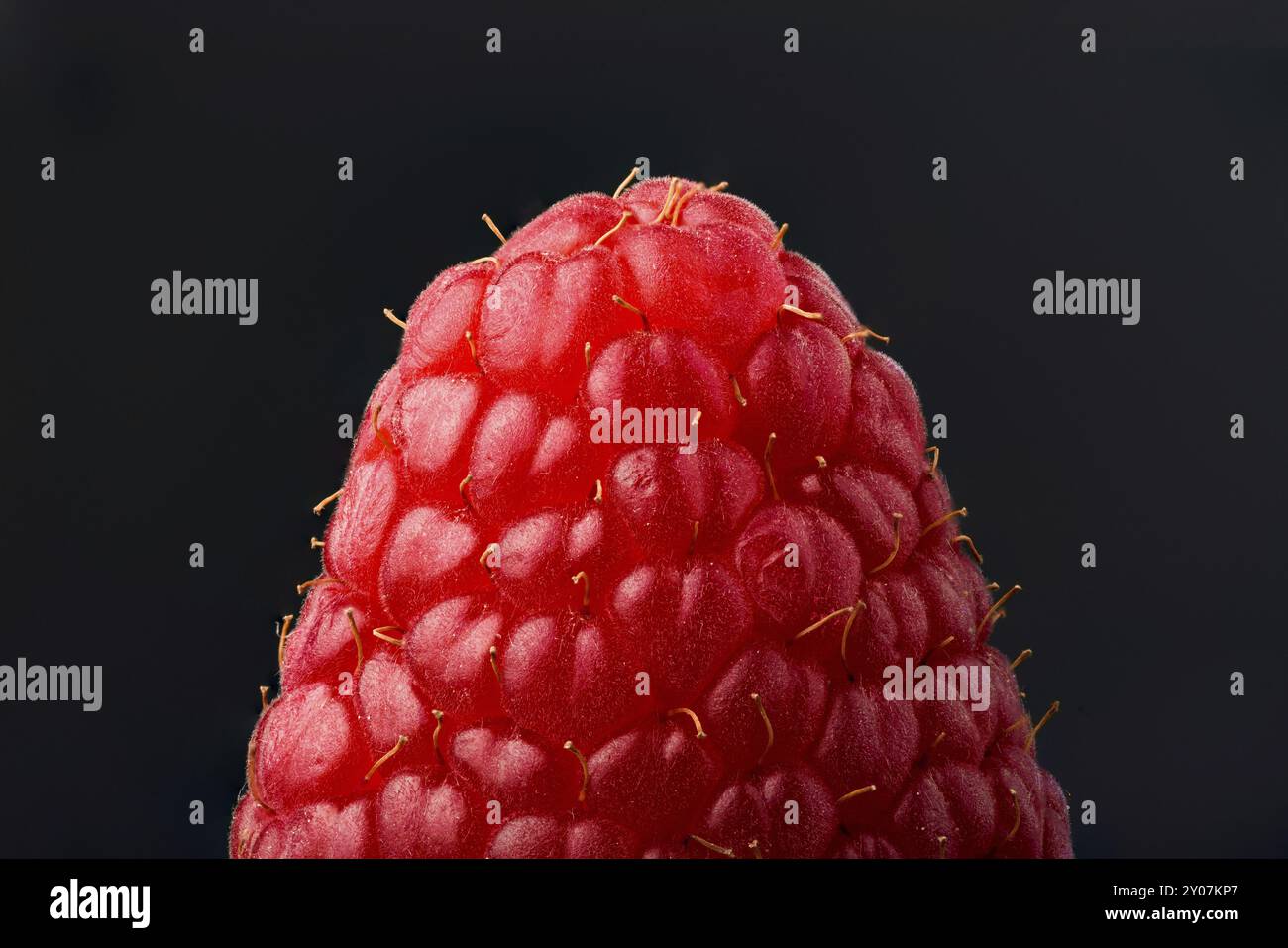 Exploded Raspberry Stock Photo One fresh raspberry closeup on a black background isolated. Tip of ...