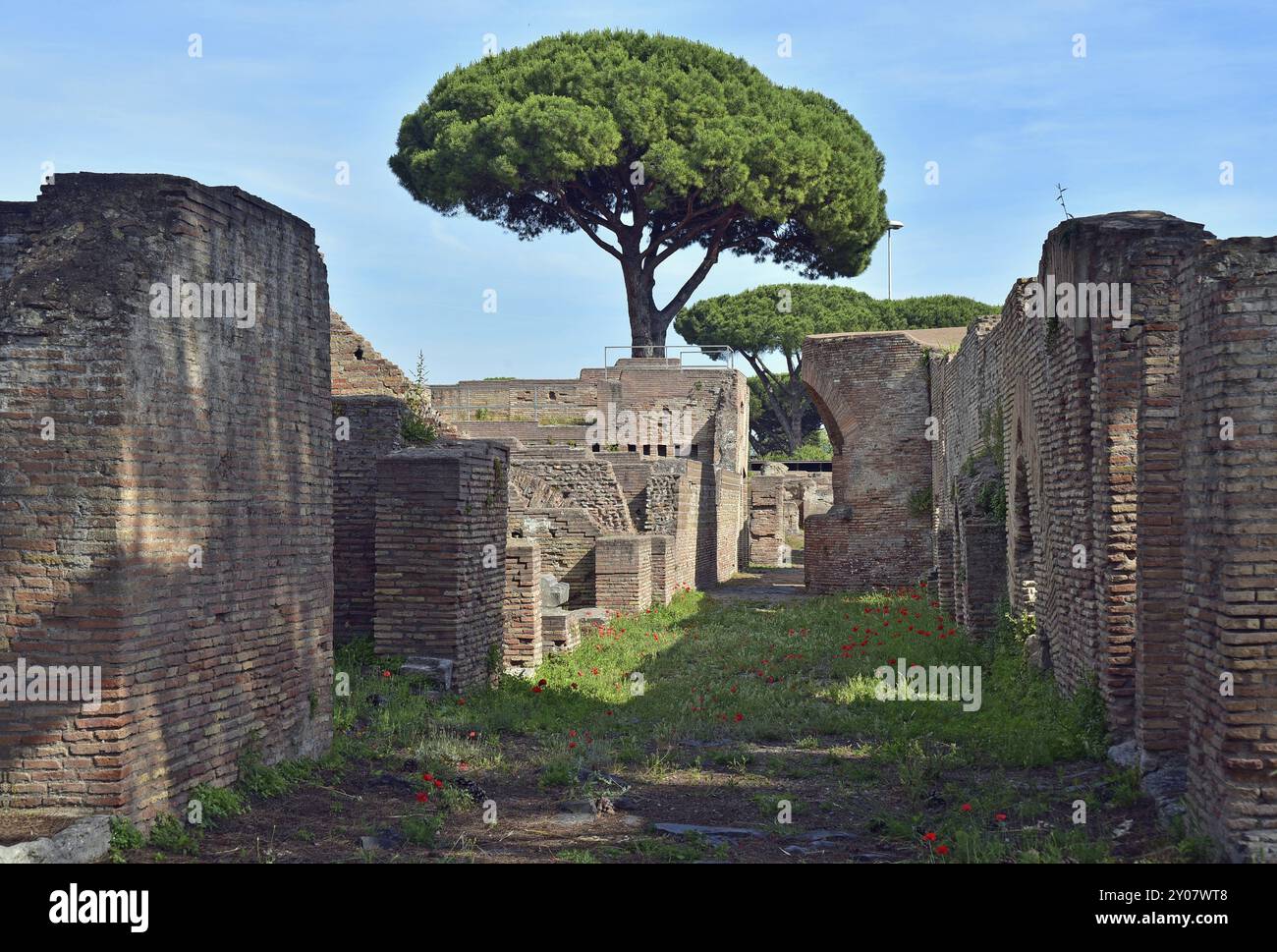 Street in Ostia Antica, houses, pine trees Stock Photo - Alamy