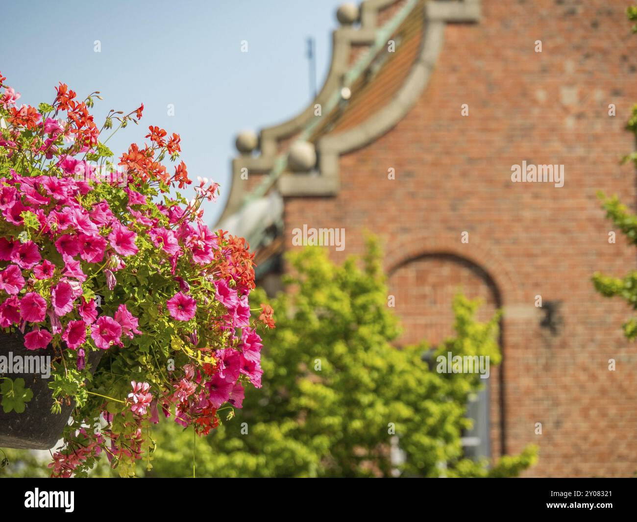 Blooming flower pot with red flowers in front of a brick building and a green tree in sunshine, trelleborg, sweden, baltic sea, scandinavia Stock Photo