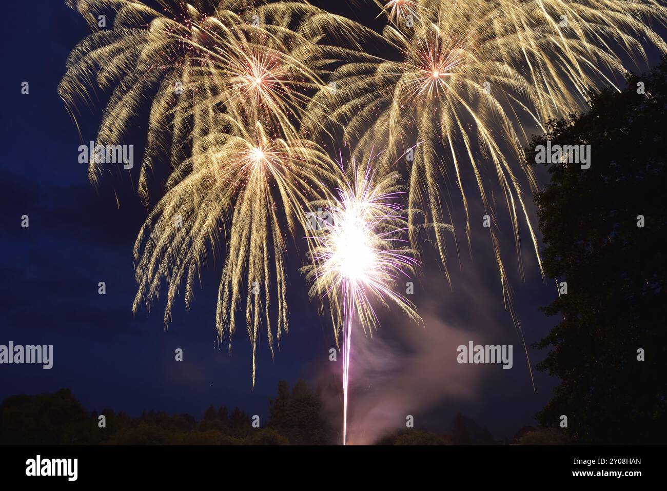 Fireworks at a summer festival.fireworks in the night sky Stock Photo