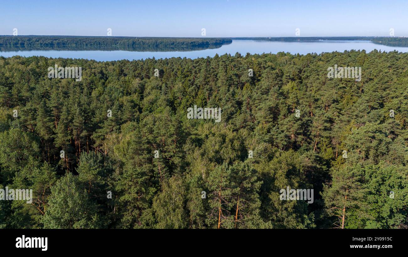 Aerial view of a serene lake surrounded by lush green forests under a ...