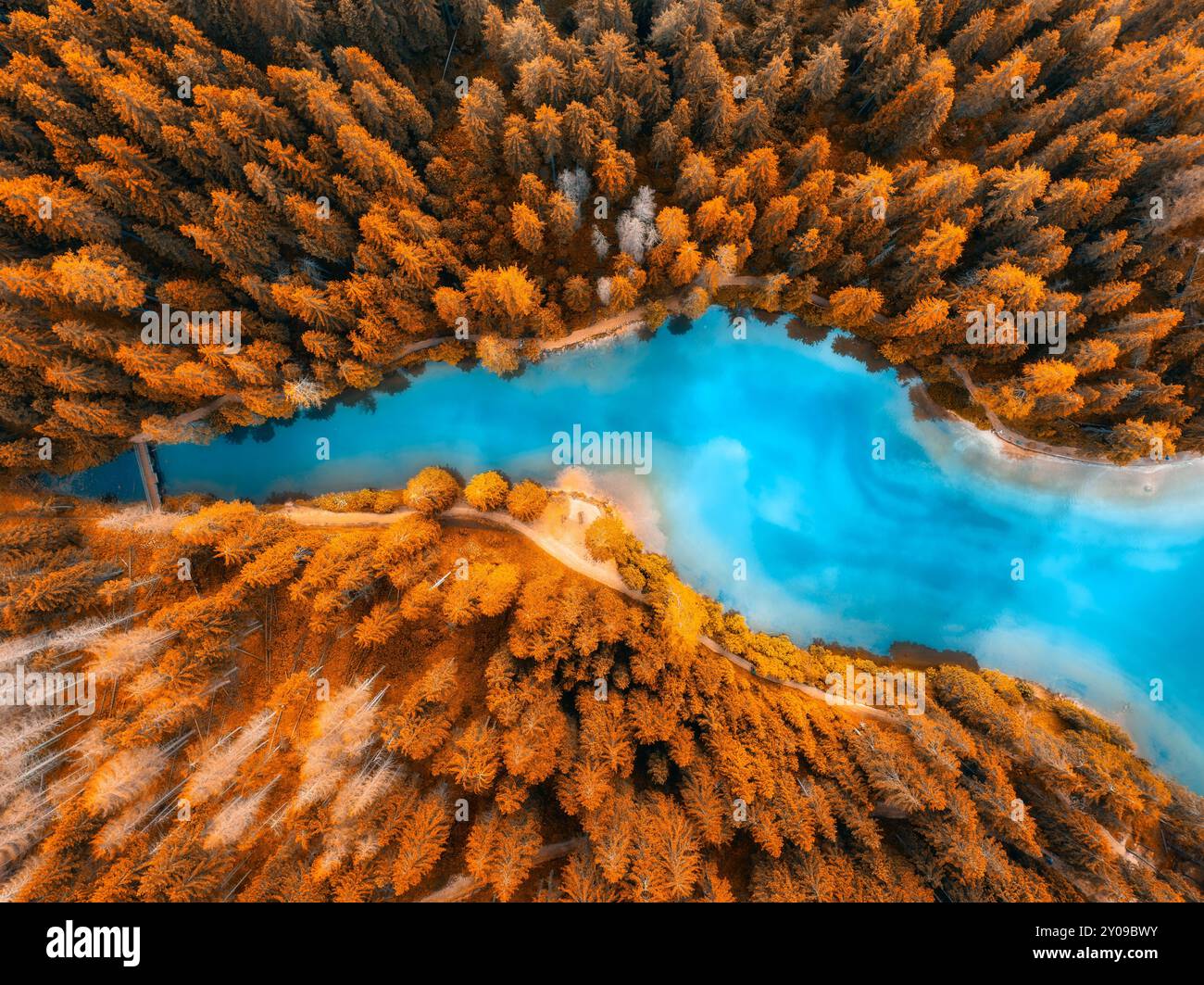 Aerial view golden pine hi-res stock photography and images - Alamy