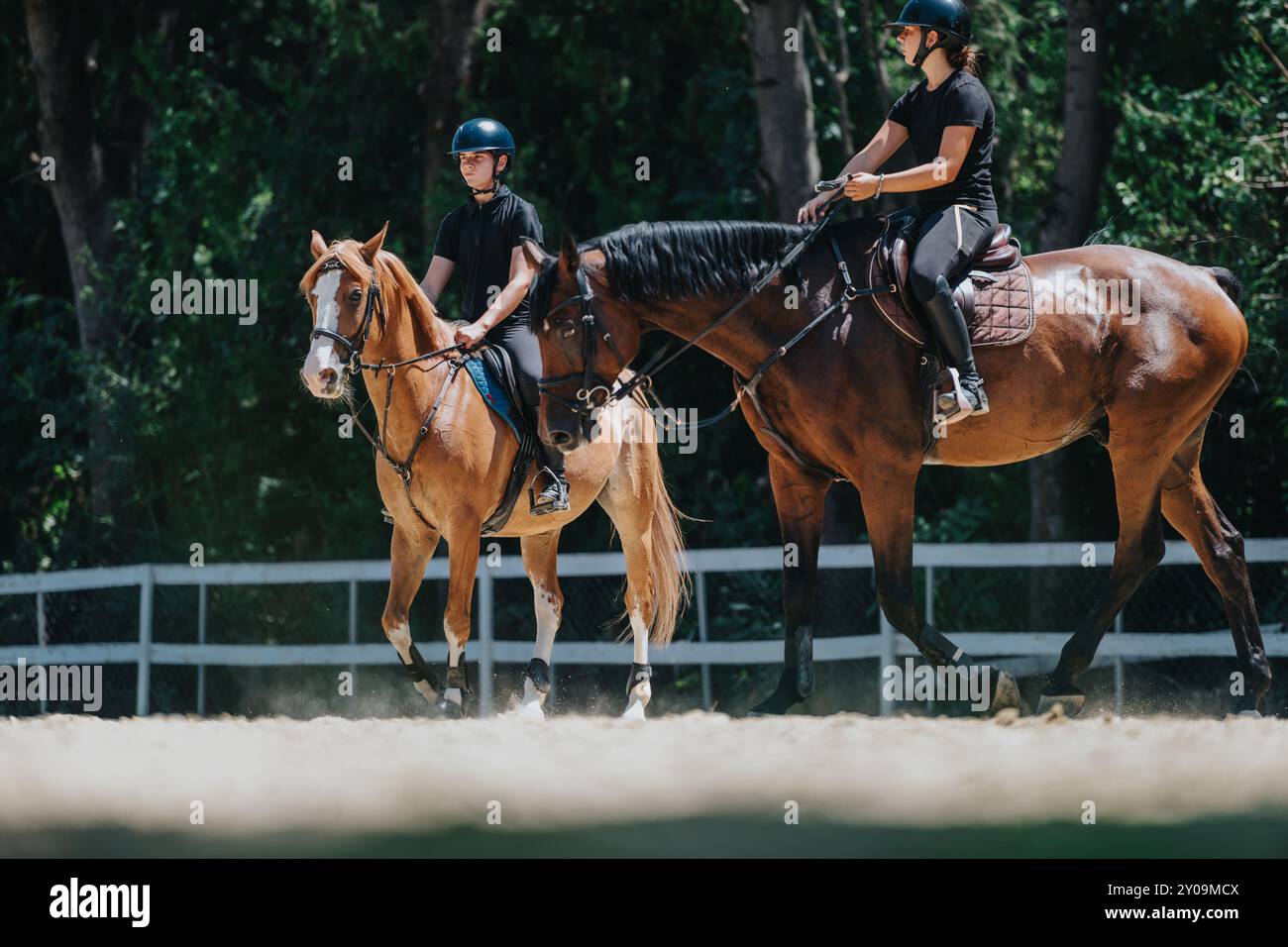 Professional equestrian riders hi-res stock photography and images - Alamy