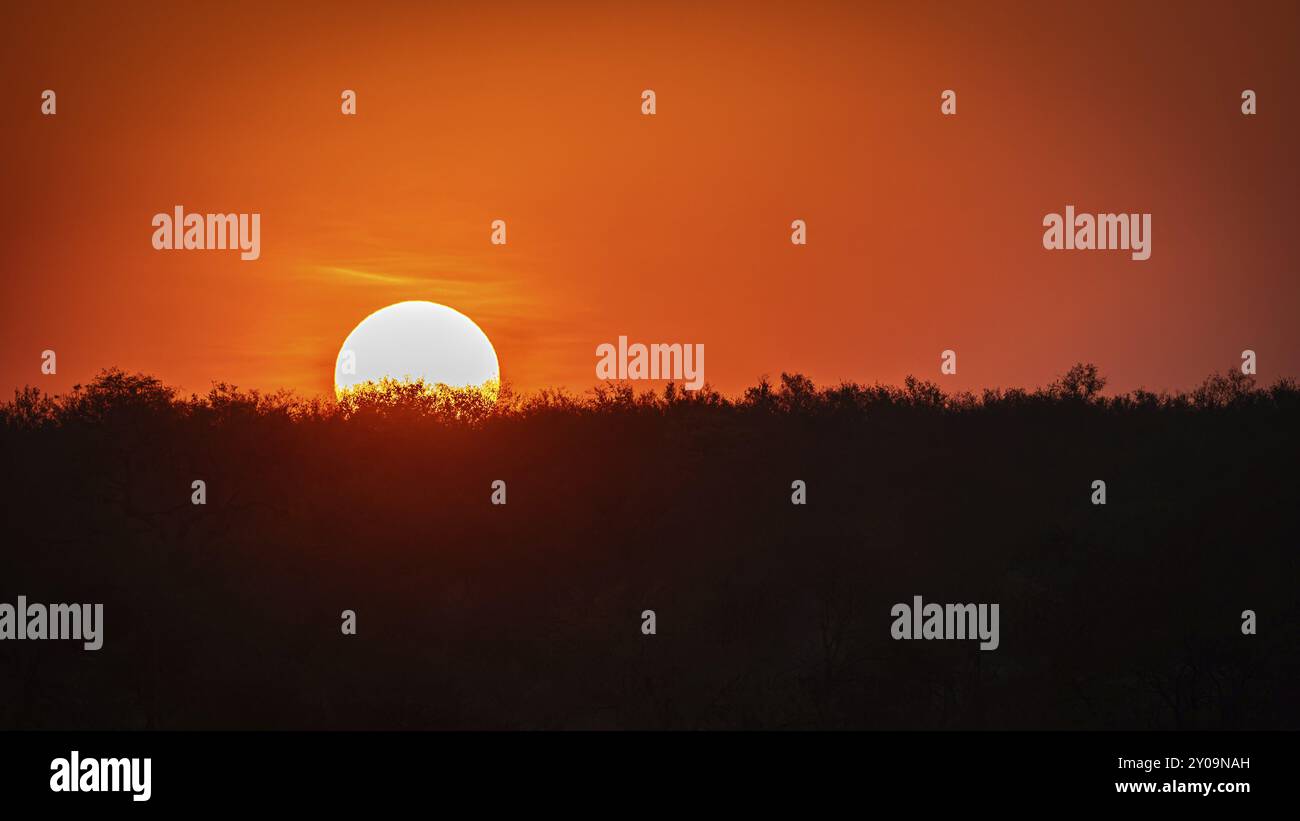 Savannah sunsets hi-res stock photography and images - Alamy