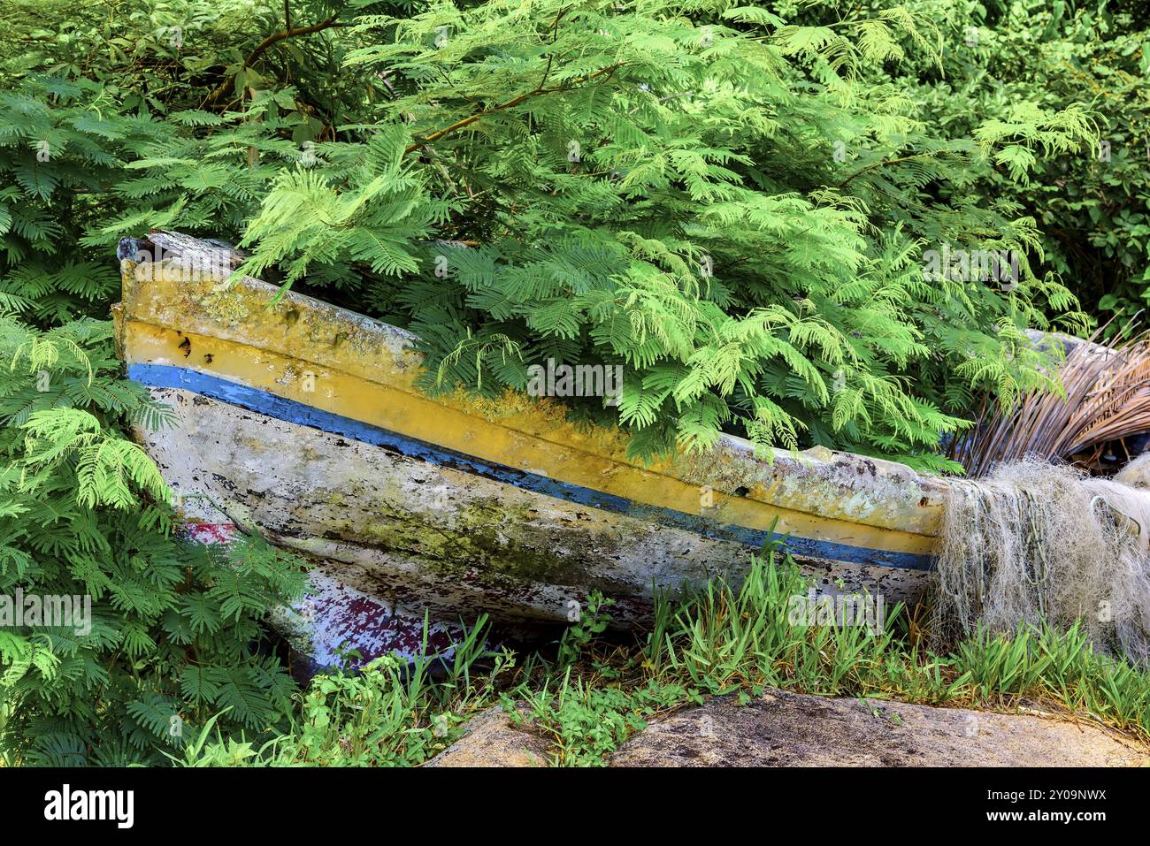 Old abandoned wooden fishing boat in the forest by the sea Stock Photo ...