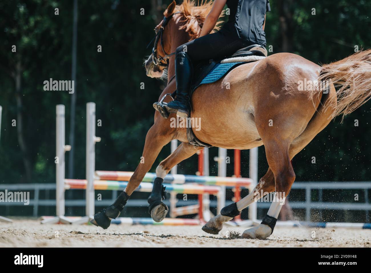 Equestrian jumping competition with a rider on a galloping horse Stock ...