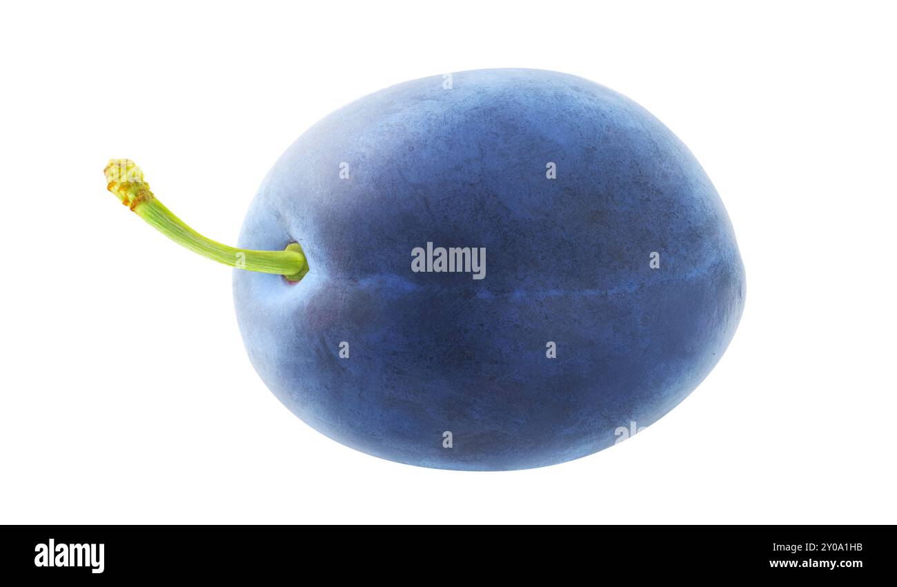 One blue plum fruit isolated on white background Stock Photo