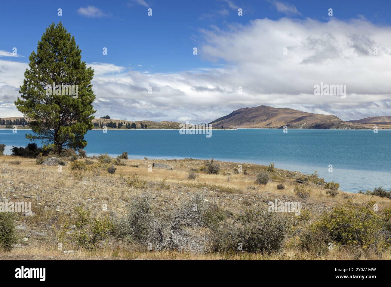Scenic view of colourful Lake Tekapo Stock Photo - Alamy