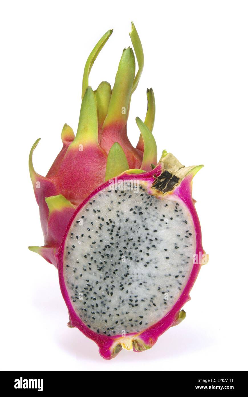 Pitahaya Stock Photo