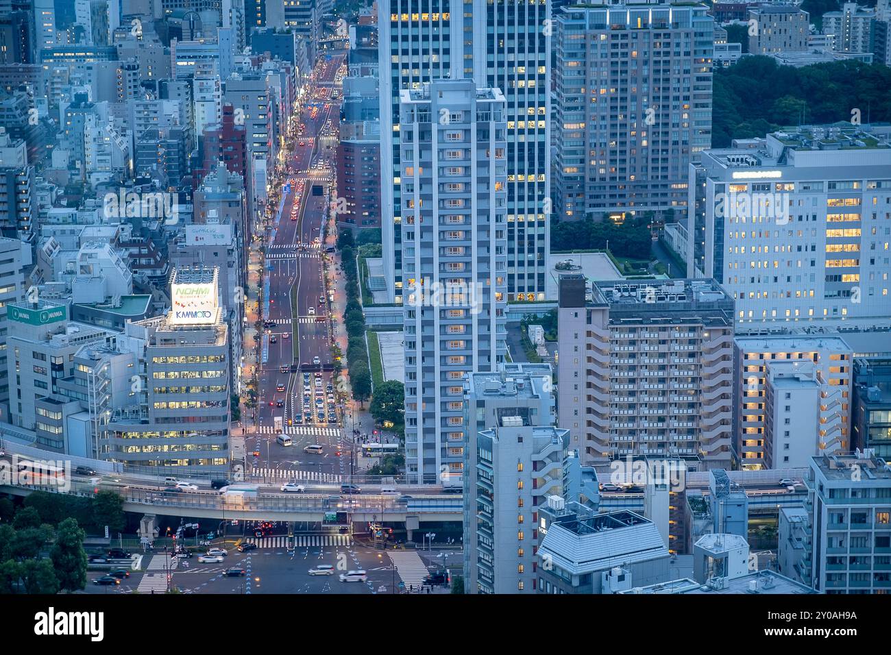 Tokyo cityscape. Panoramic aerial view over the city from the  Observation floor of Tokyo Tower , Tokyo, Japan Stock Photo