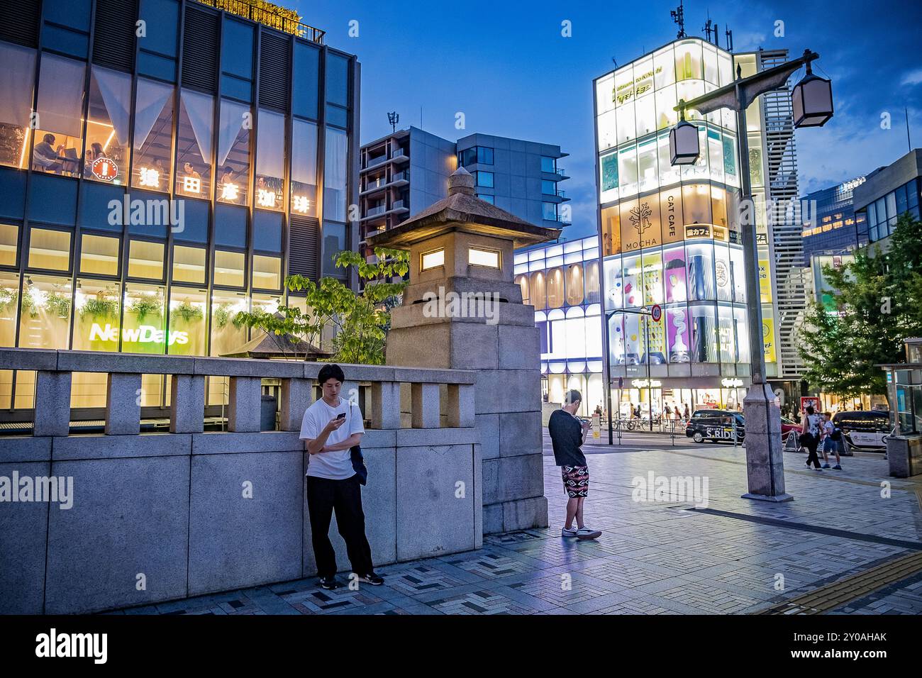 Jingu Bashi or Shrine Bridge in Harajuku, Tokyo, Japan Stock Photo