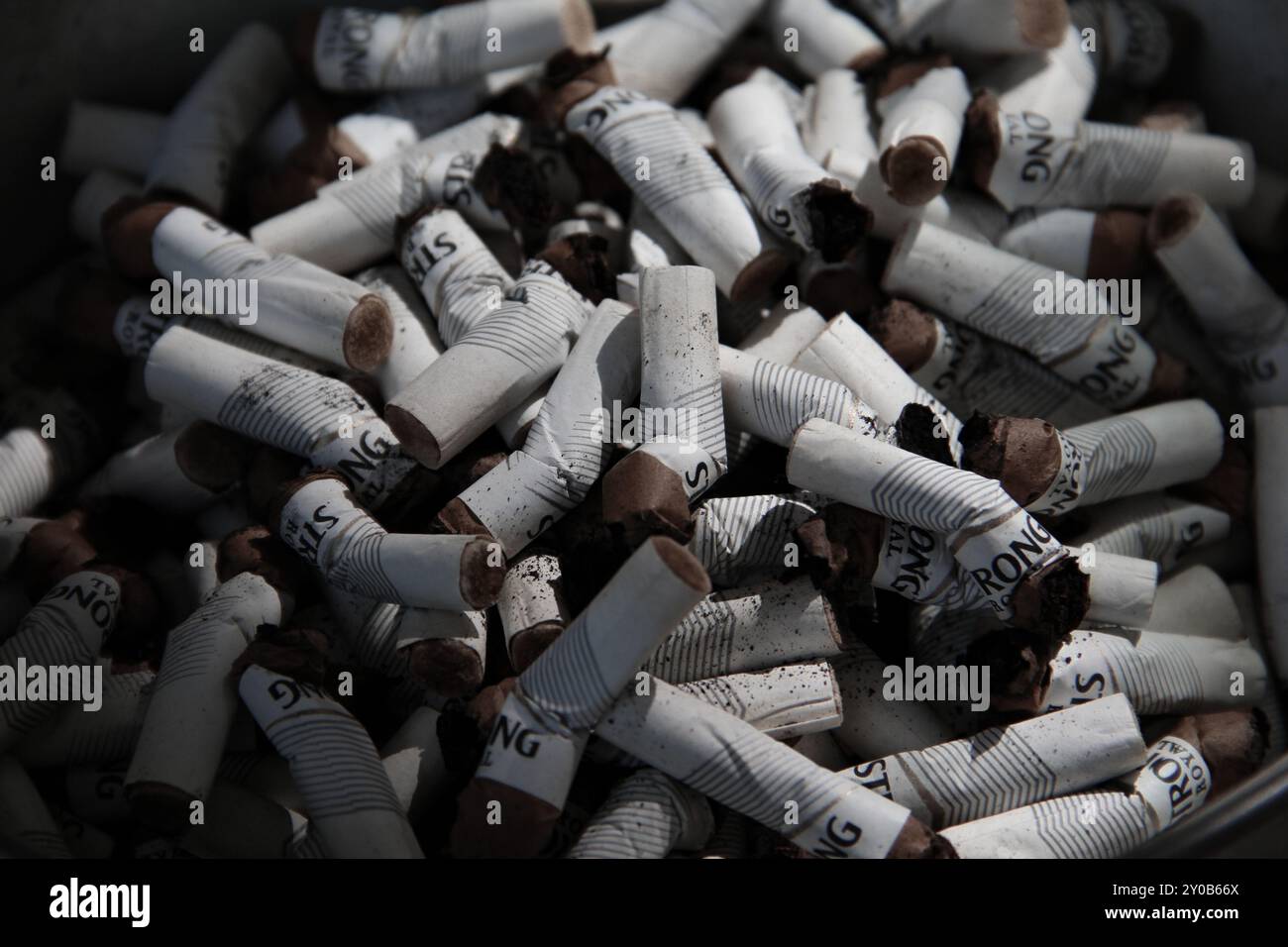 cigarette a day keeps the doctor away A cigarette a day keeps the doctor in pay.