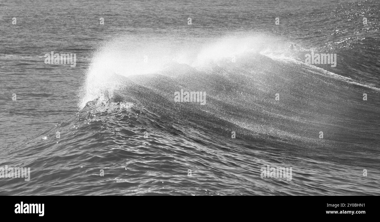 Nature background seascape stormy Black and White Stock Photos & Images ...