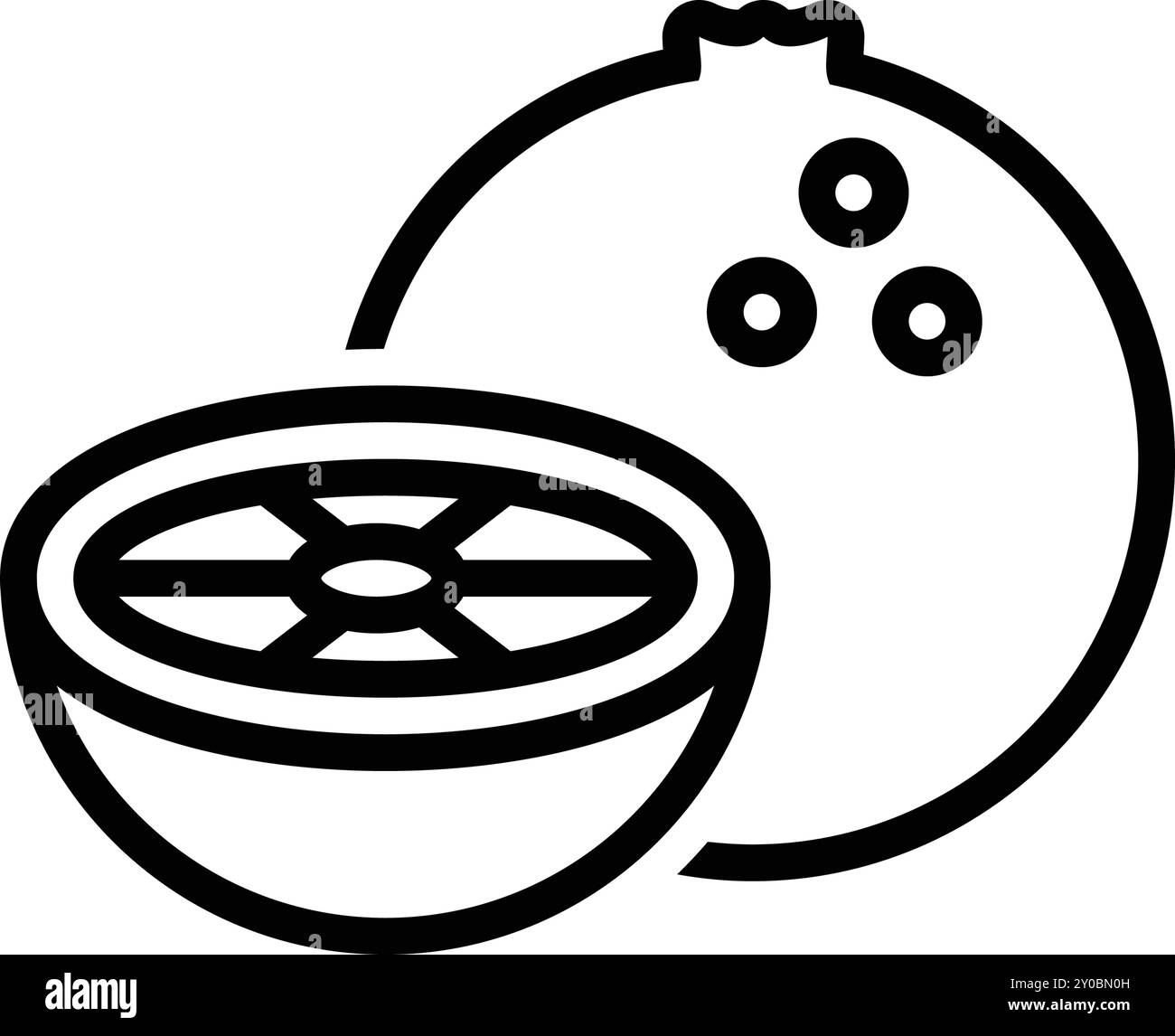 Icon for citrus, slice Stock Vector Image & Art - Alamy