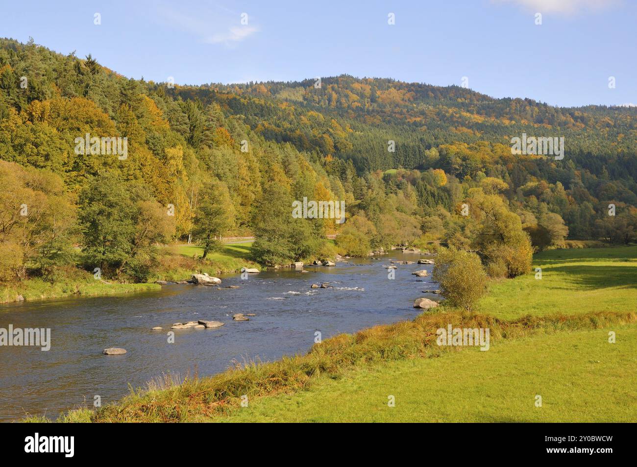 The river Regen in the Bavarian forest Stock Photo - Alamy