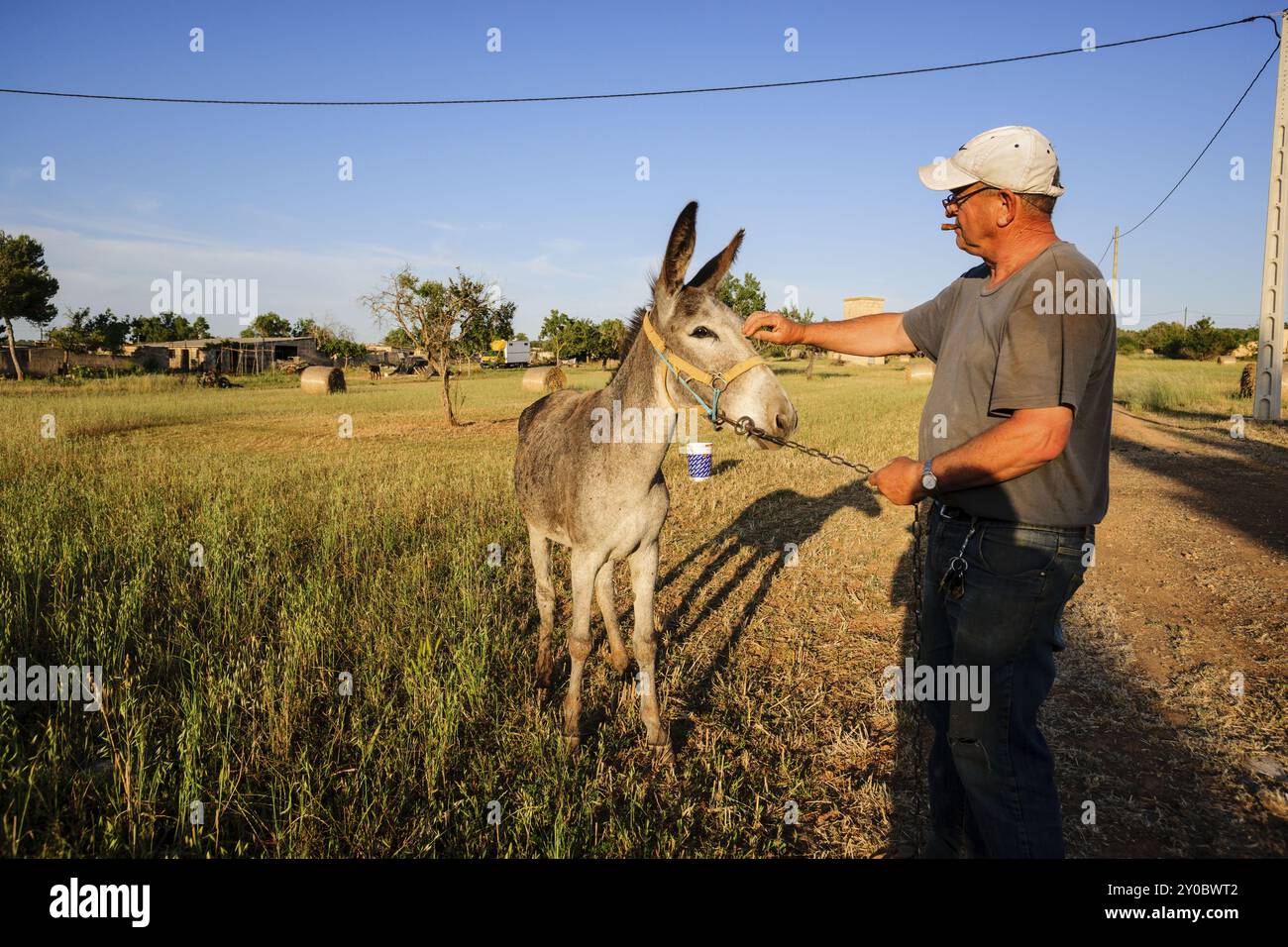 Campo de cultivo hi-res stock photography and images - Alamy