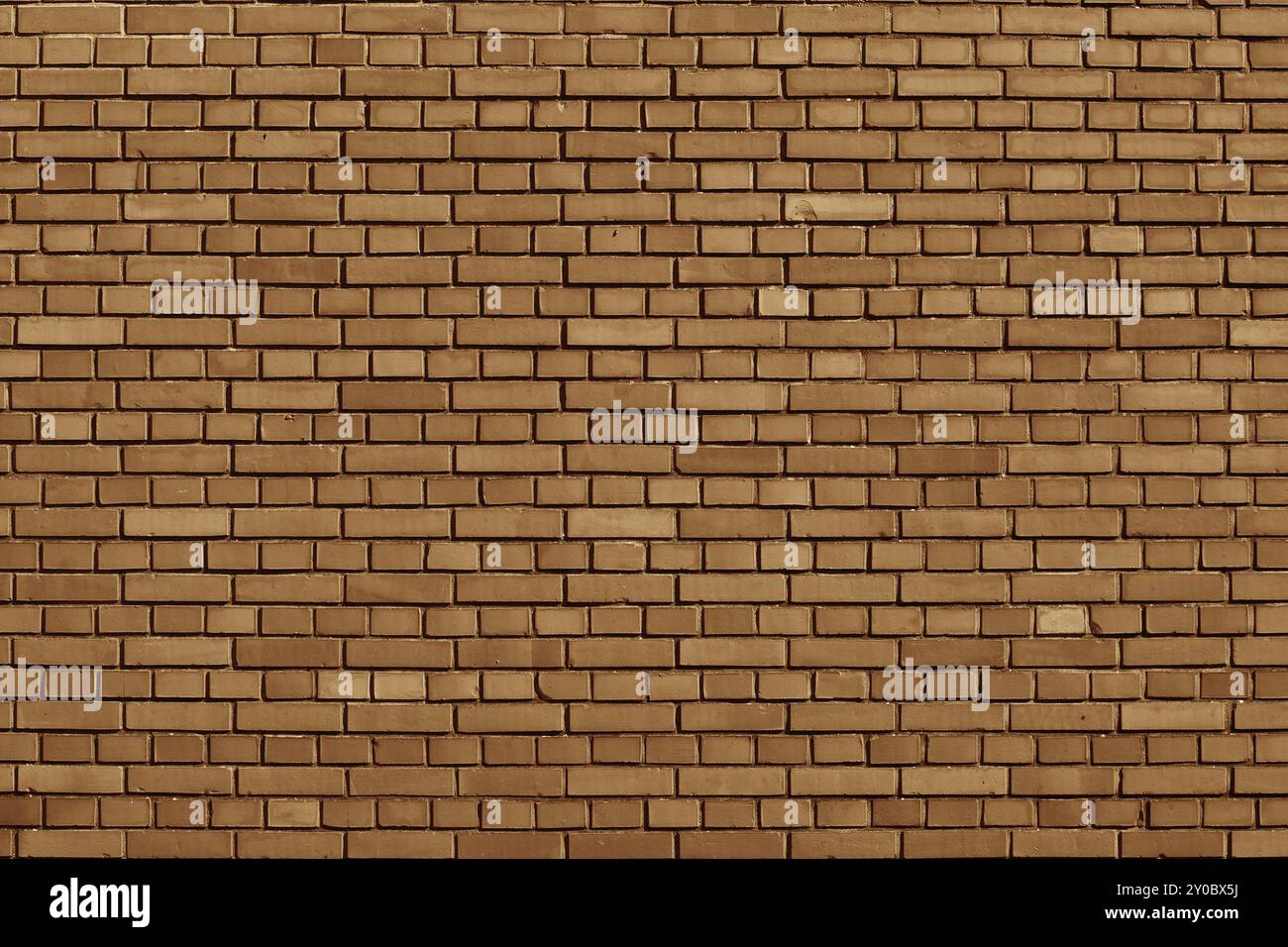 Meerkat colored brick wall background Stock Photo