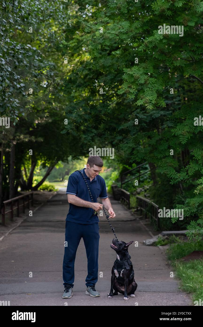 Caucasian man walking with a pitbull terrier dog. Vertical photo.  Stock Photo