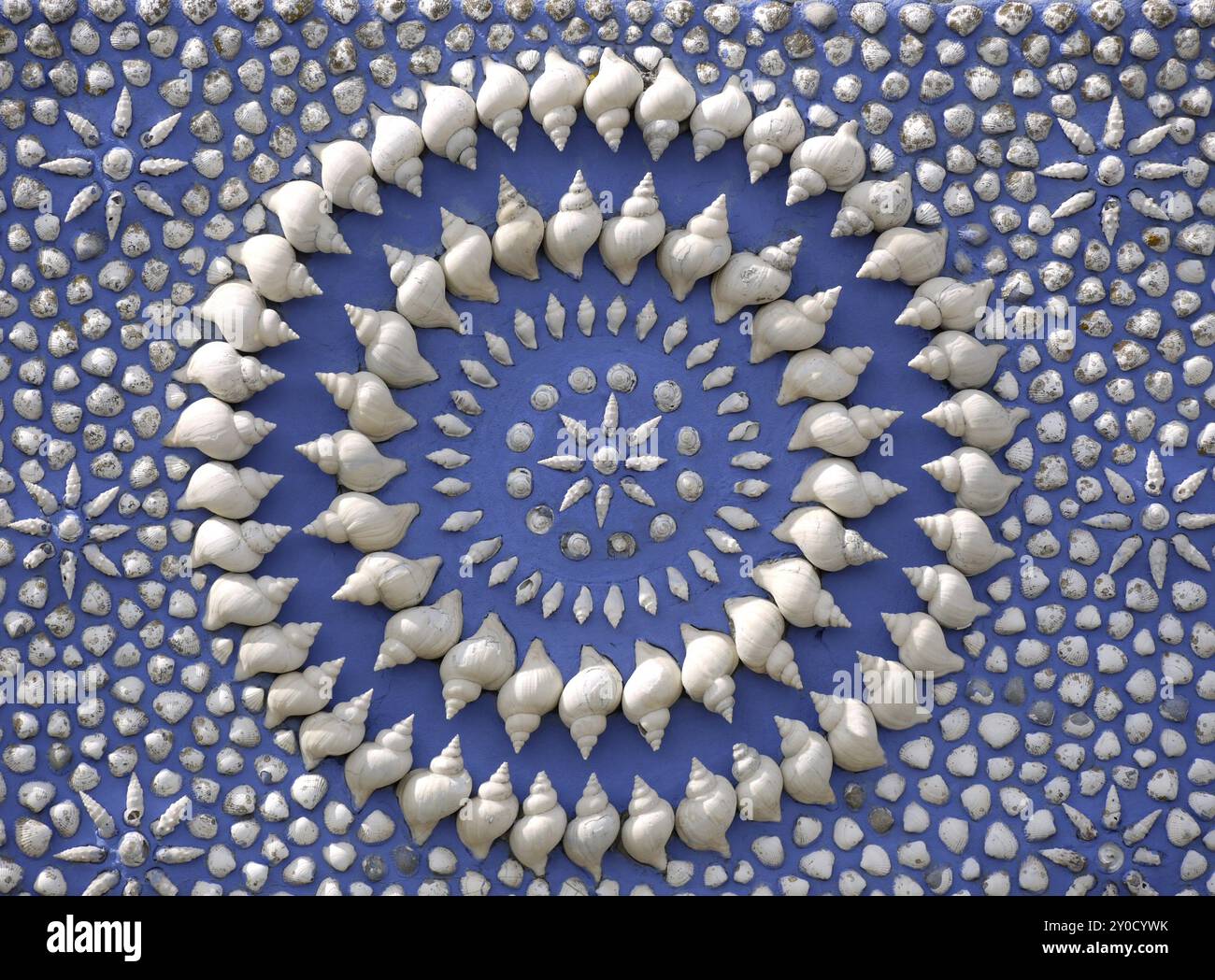 Bivalve shell structures hi-res stock photography and images - Alamy