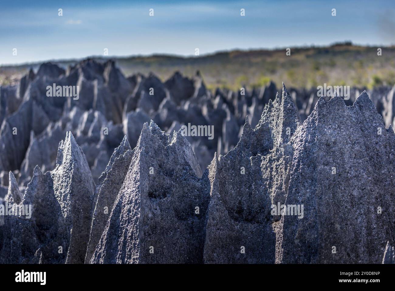 Tsingy de Bemaraha close-ups Stock Photo