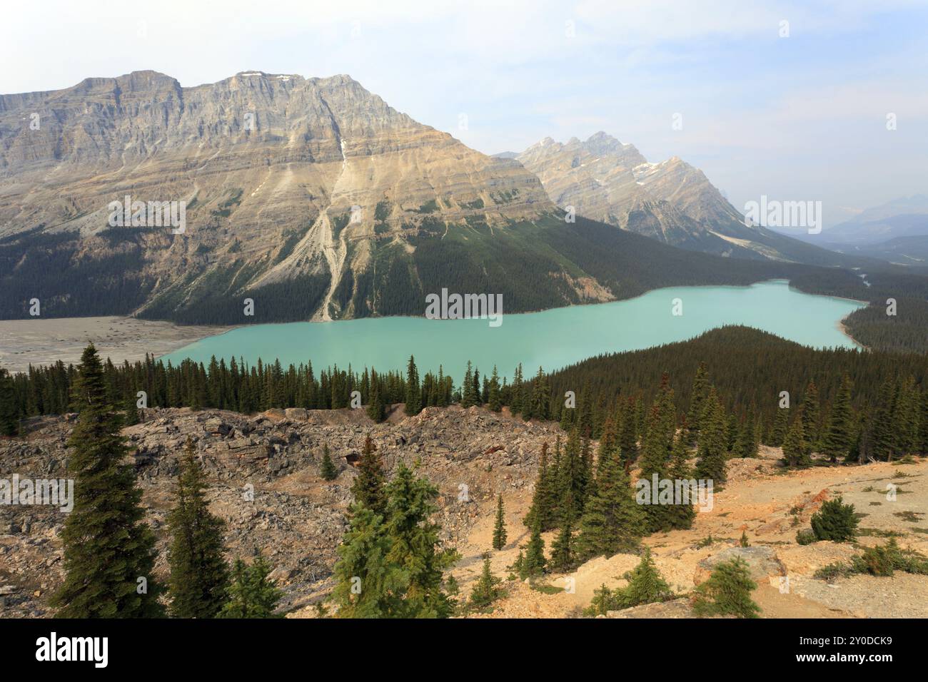 Peyto Lake in Banff National Park in Alberta Canada Stock Photo - Alamy