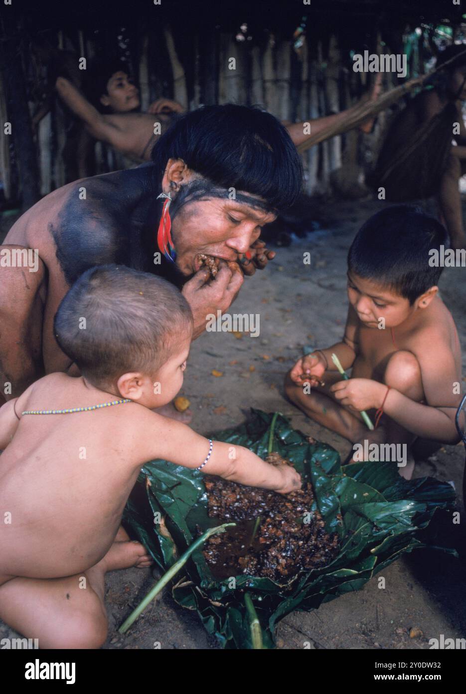 Yanomami tribe food hi-res stock photography and images - Alamy
