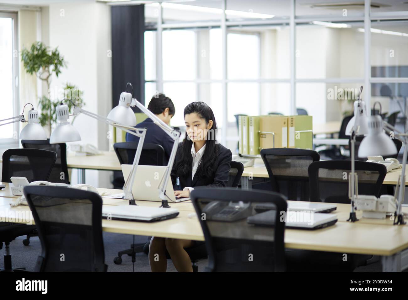 A businesswoman doing deskwork Stock Photo