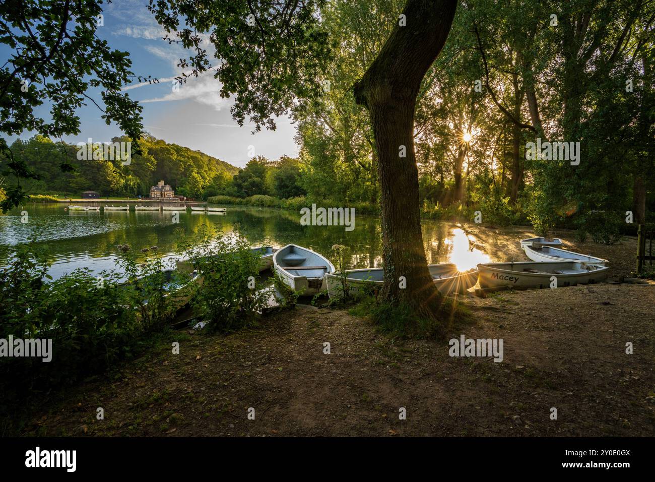 Sunrise at Swanbourne lake, Arundel, West Sussex, England, Uk Stock Photo