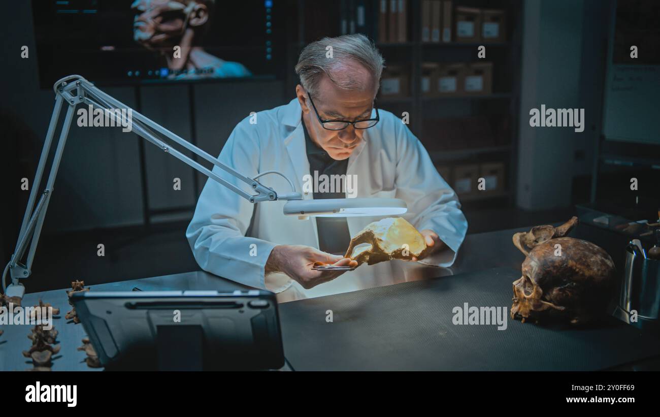 Archaeological Lab Senior archaeologist measures and studies fossil bones under lamp with ...