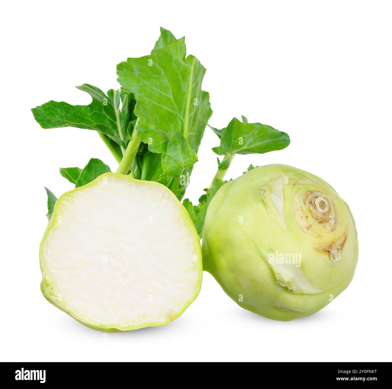 kohlabi vegetable isolated on white background. kohlabi clipping path Stock Photo