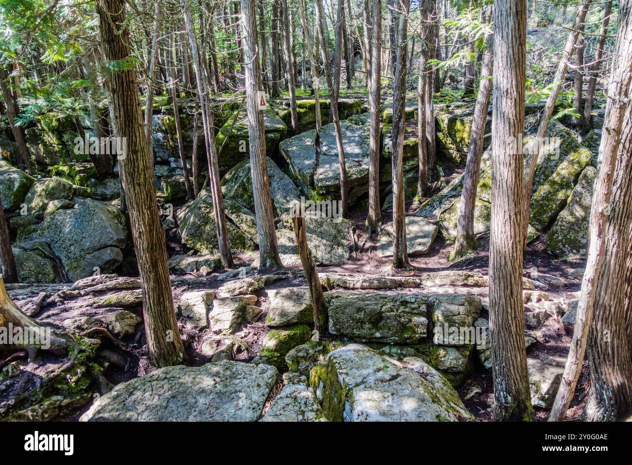 Warsaw Raves Warsaw Caves Conservation Area in Canada features a series of seven ...