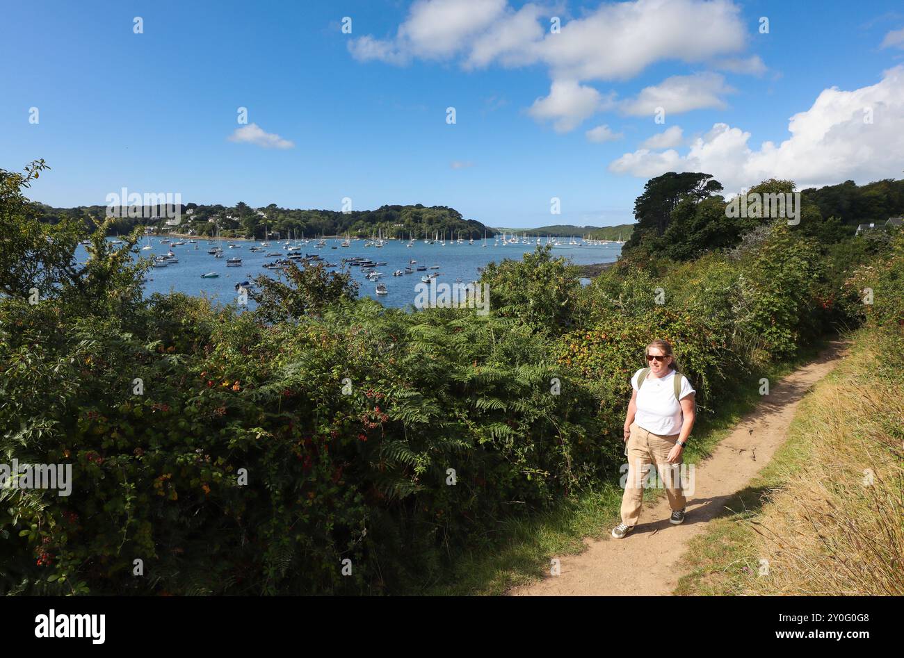 South West Coast Path alongside Helford River, Cornwall, UK Stock Photo
