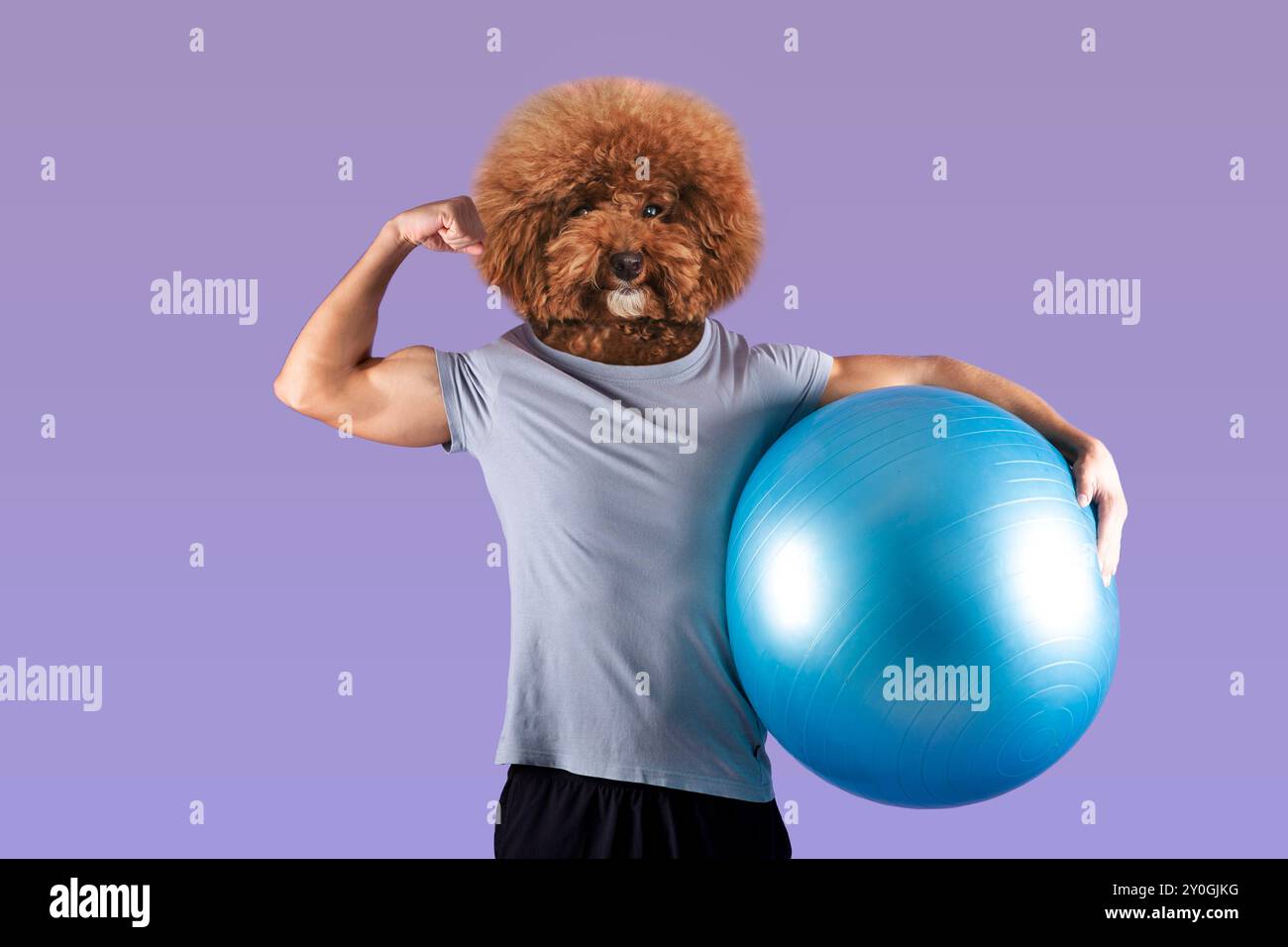 Stability Dog Strong Dog-Like Figure Demonstrating Fitness Routine With Blue ...