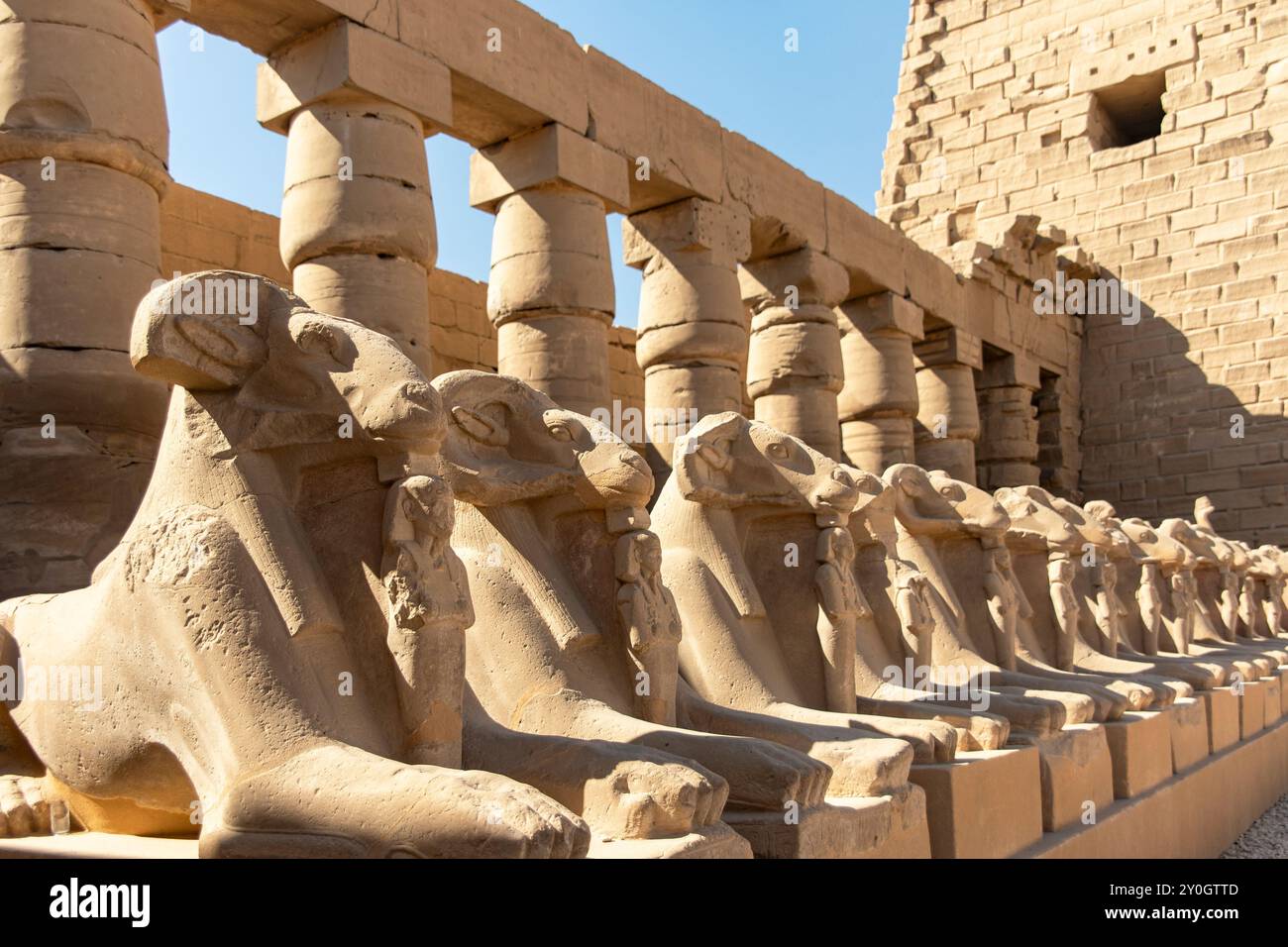 The enigmatic Sphinx stands as guardian of Karnak, its watchful gaze fixed upon the ancient temple. This mythical creature is a powerful symbol . Stock Photo