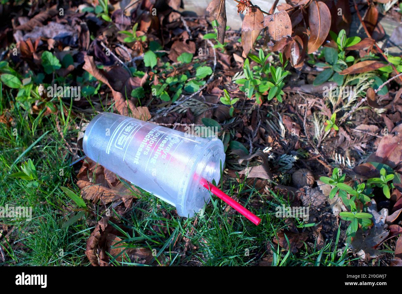 Discarded frosted plastic beverage container on the ground with lid and red plastic straw. Stock Photo