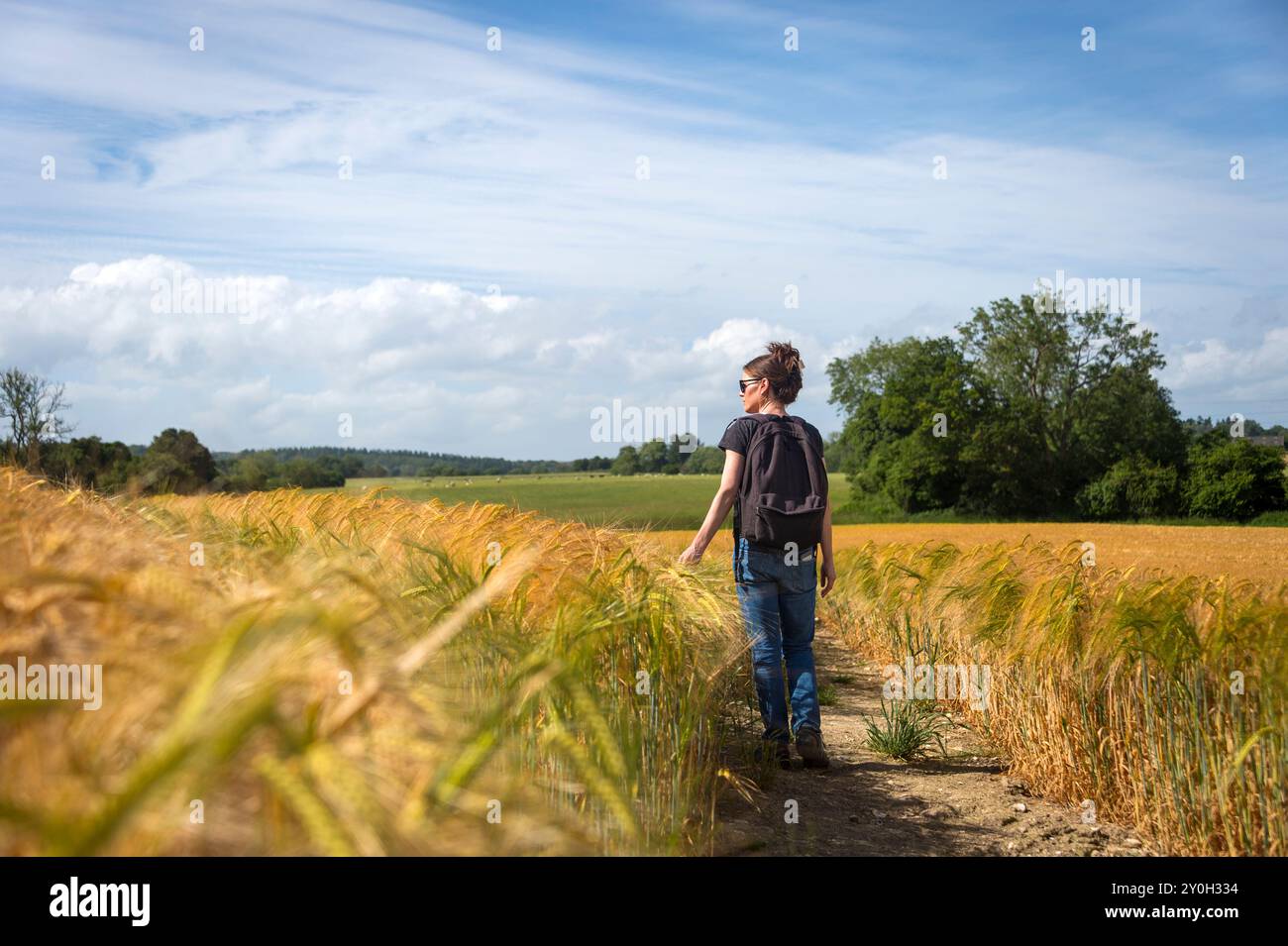 Rear view of female hiker walker hi-res stock photography and images ...