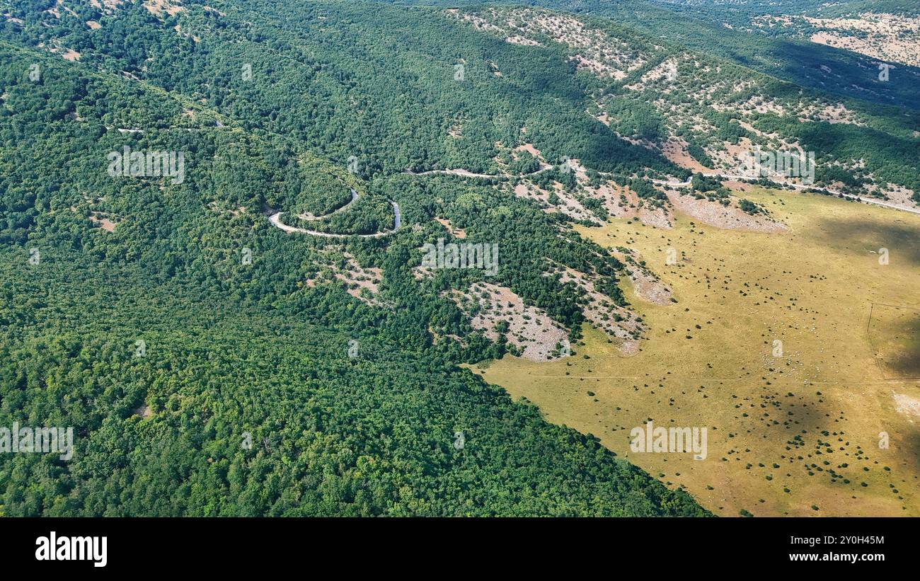 Winding forest road cutting hi-res stock photography and images - Alamy